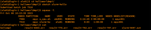 Sbatch terminal display rev2.png
